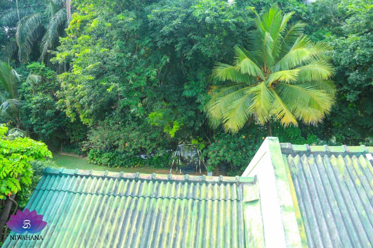 Nivahana Homestay Kandy Exterior foto